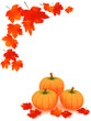 Pumpkins and leafs