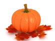 Pumpkin and leafs