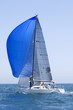 Yacht with blue sail competes in team sailing event, California