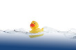 Swimming Duckling