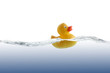 Cute Rubber Duckling Cute Rubber Duckling