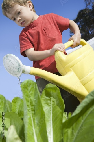 Photo: 2 Year Old in vegetable garden with watering can 2 Year Old in vegetable garden with watering can