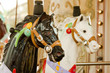 Carrousel in Old Town 3