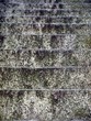Foto: Textur Treppe Textur Treppe