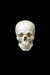 totenkopf