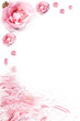 Rose frame