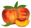 Vector illustration. Ripe peach fruit with green leaves.