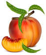 Vector illustration. Ripe peach fruit with green leaves.