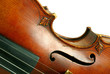 Part of violin on white background.