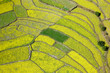 Aerial view of fields
