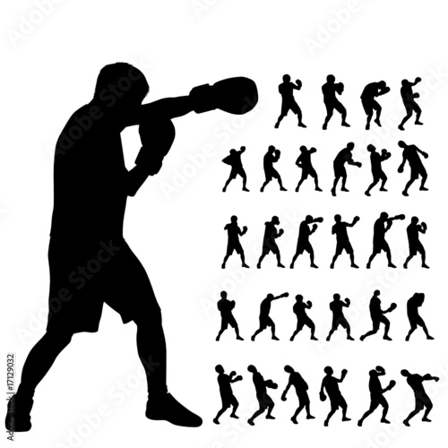 Boxing Silhouette Vector