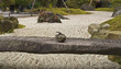 Foto: Zen garden Zen garden