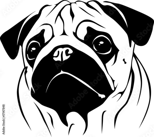 Pug Vector