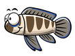 cartoon fish