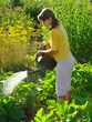 watering