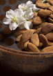 Almonds and flower