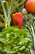 Légumes bilogiques Légumes bilogiques
