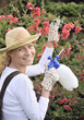 Young woman spraying tree