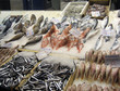 Greek fish market