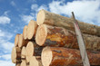 Photo: Timber Logs on Trailer Timber Logs on Trailer