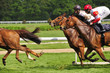 Photo: rennbahn rennbahn