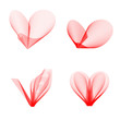 heart fibre
