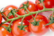 red tomatoes on the branch