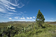 Paysage de Madagascar