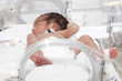 Photo: Newborn baby inside incubator Newborn baby inside incubator