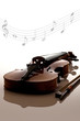Violon