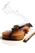 Violon