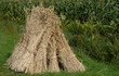Strohgarben
