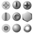 Vector set of screws, bolts and rivets isolated on white Vector set of screws, bolts and rivets isolated on white