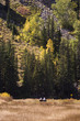 White haired ladies sit together in Autumn