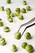germinated pea