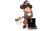 Pirate fou Pirate fou