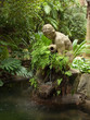 Fontaine discrète Fontaine discrète