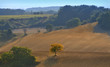 Photo : automne