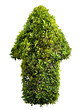 bush sign