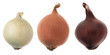 Onions