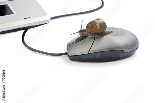 Photo: Garden snail pressing mouse button isolated over white. Garden snail pressing mouse button isolated over white.