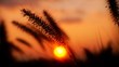 Sonnenaufgang / Sonnenuntergang
