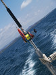 Rod and Reel in Costa Rica