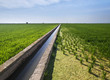 Canal entre los Arrozales