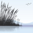 reeds in the water