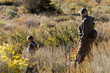 Hunting Hike