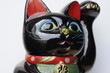 welcome cat-19