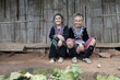 alte Frauen in Asien, Volksgruppe Meo alte Frauen in Asien, Volksgruppe Meo