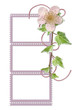 photo frame