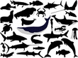 collection of aquatic life vector silhouettes collection of aquatic life vector silhouettes